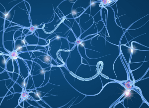 Neurons connecting in the brain forming neural pathways